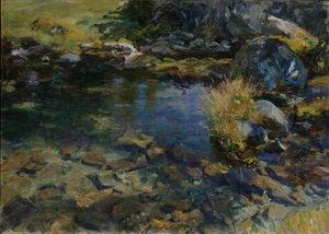 Alpine Pool