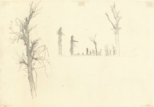 Devastated Trees