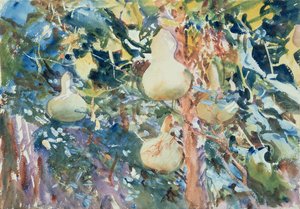 Gourds