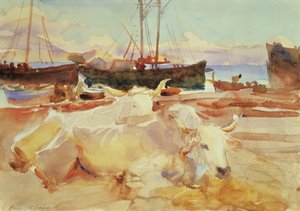 Oxen on the Beach at Baia, c.1908