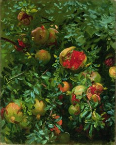 Pomegranates, Majorca
