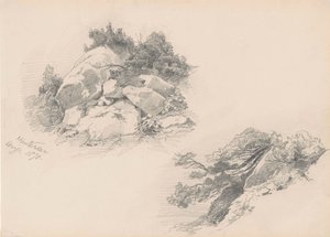 Rocks and Brush, Hintersee, Germany, 1871 by John Singer Sargent