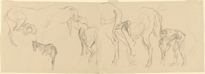 Studies for "Shoeing Cavalry Horses at the Front" by John Singer Sargent