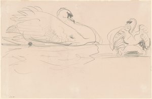 Swans in the Water by John Singer Sargent