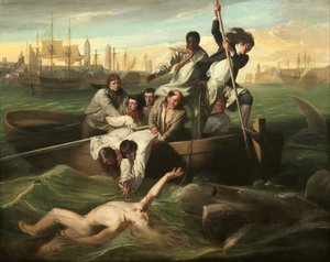 Watson and the Shark