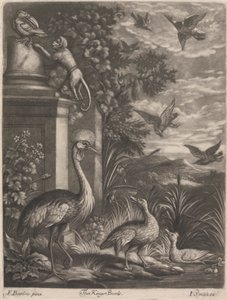The Kings Birds by John Smith