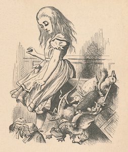 Alice and Animals. Chaos and the Court