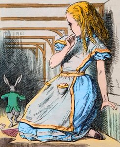 Alice and the White Rabbit. Illustration by John Tenniel from the first edition of Lewis Carroll