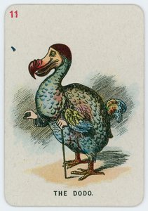 The Dodo by John Tenniel