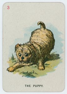 The Puppy by John Tenniel