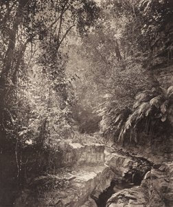 A Mountain Pass in the Island of Formosa by John Thomson