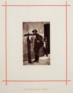 The Temperance Sweep, 1877