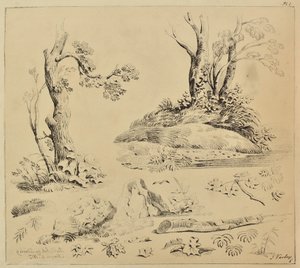 Sheet of Studies of Tree-trunks and Foliage by John Varley
