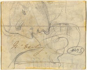 Study of a Head in Profile