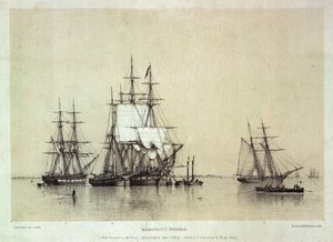 Marine Studies, Merchant Vessels