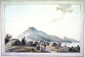 The Hippah, New Zealand