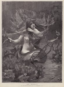 The Mermaid by John William (after) Waterhouse