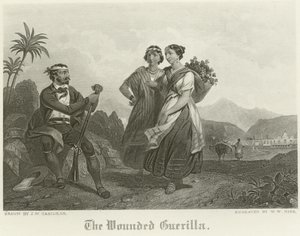 The Wounded Guerilla