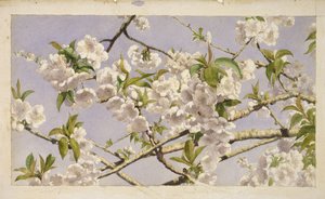 Apple Blossoms, c.1874