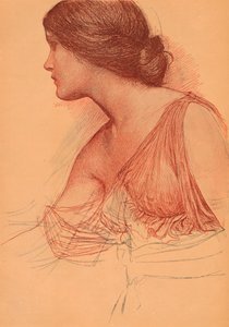 From a study in sanguine