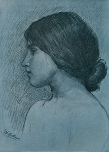 Study of a Head