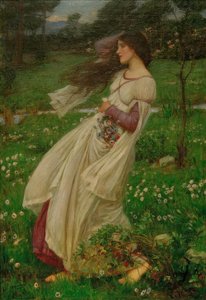 Windflowers