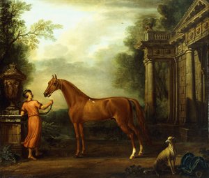The Chestnut Arabian of Hampton Court