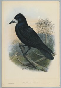 Unknown Image