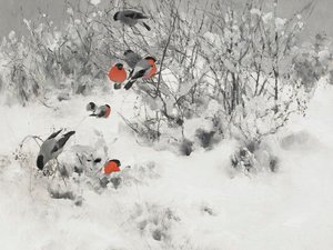 Red Bullfinches In Snow by Jolly and Dash