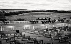 The Goodwood Estate in West Sussex, UK, 2020