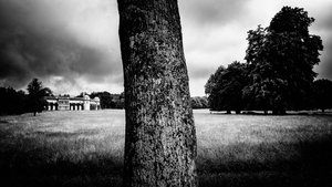 The Goodwood Estate in West Sussex, UK, 2020