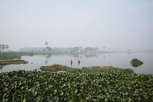 Wetland fishing in Kolkata, 2016 by Jon Nicholson