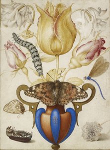 Arrangement of Flowers in a Vase, with Insects, 1594 by Joris Hoefnagel