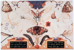 Diptych with Flowers and Insects by Joris Hoefnagel