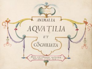 Title Page