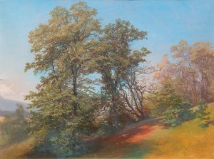 Group of Trees on the Mönchsberg in Salzburg by Josef Holzer
