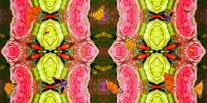 Creatures: Bees and Butterflies in the Rose Garden