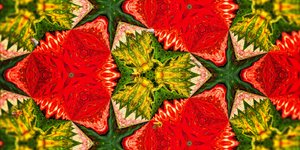 Creatures: Bees in the Rose Garden