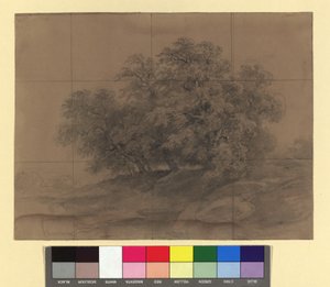 Group of Trees - with Enlargement Grid by Josef Kriehuber