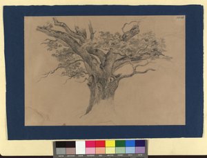Tree Study by Josef Kriehuber