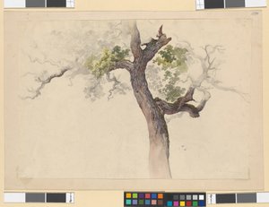 Study of a Tree by Josef Kriehuber