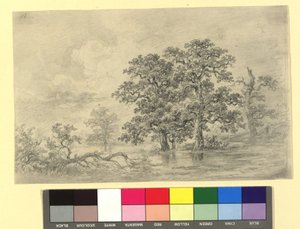 River Landscape with Trees