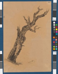 Bare Tree - Study of a Tree by Josef Kriehuber