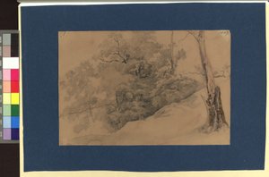 Landscape Study by Josef Kriehuber