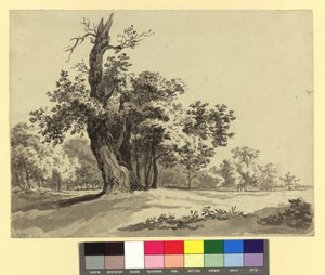 Prater Landscape