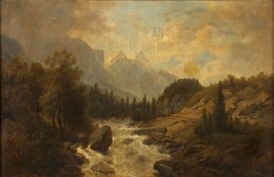Forest Landscape