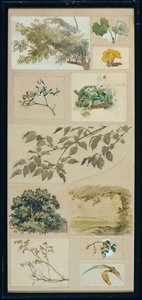 Studies from Nature by Josef Wawra