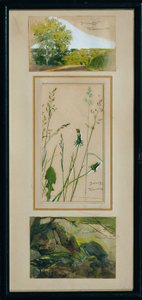 Studies from Nature by Josef Wawra