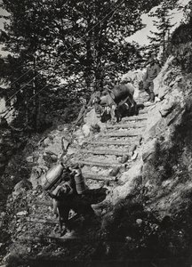 Album "Meine weltkriegs - Erinnerungen South-West Front (Carinthia, Italy, South Tyrol) 31/03/1915-12/11/1918 - Josef Zohles Wien": Army mules along a steep descent by Josef Zohles