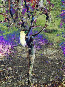 Blue Tree